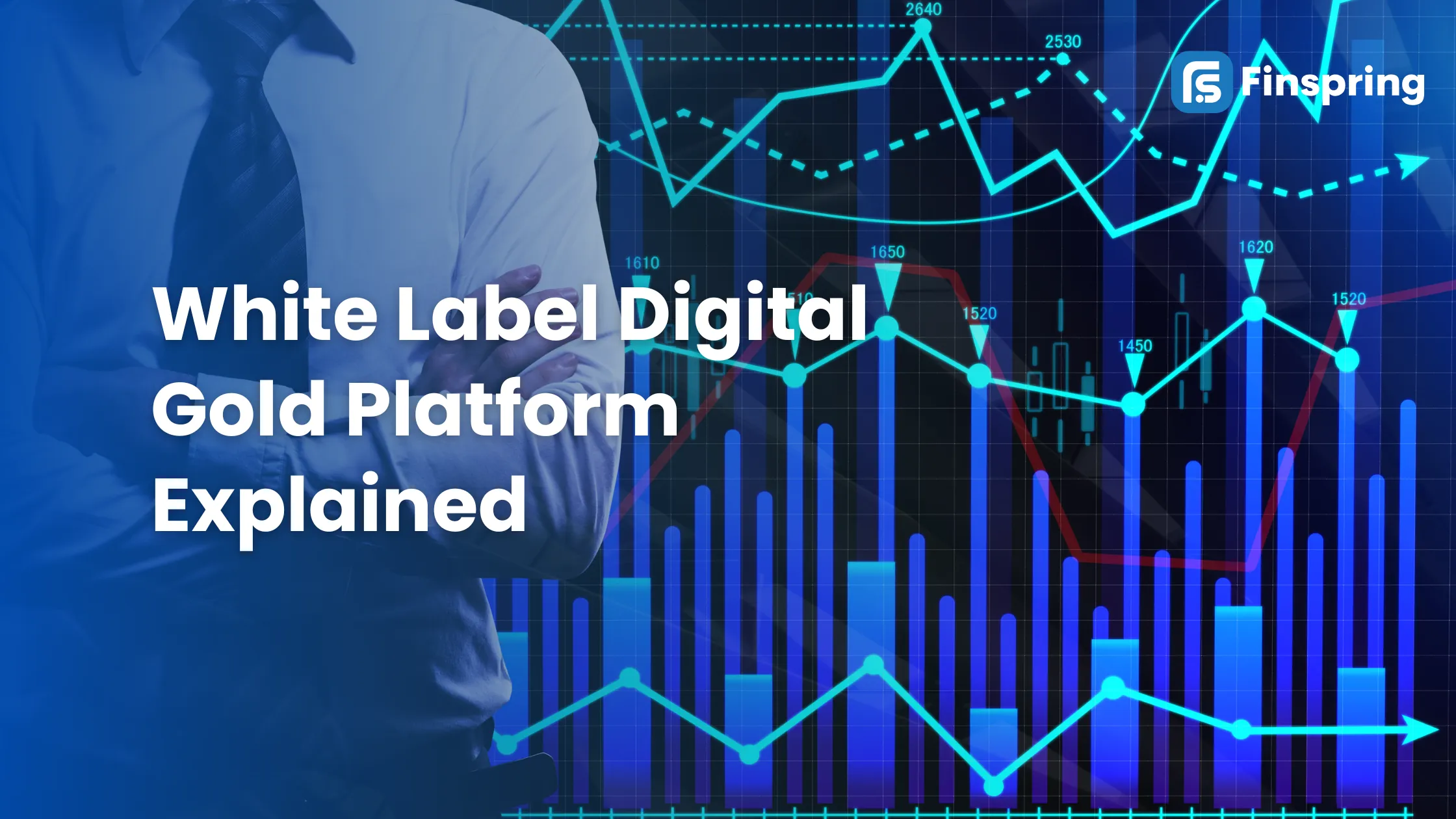 White Label Digital Gold Platform Explained: